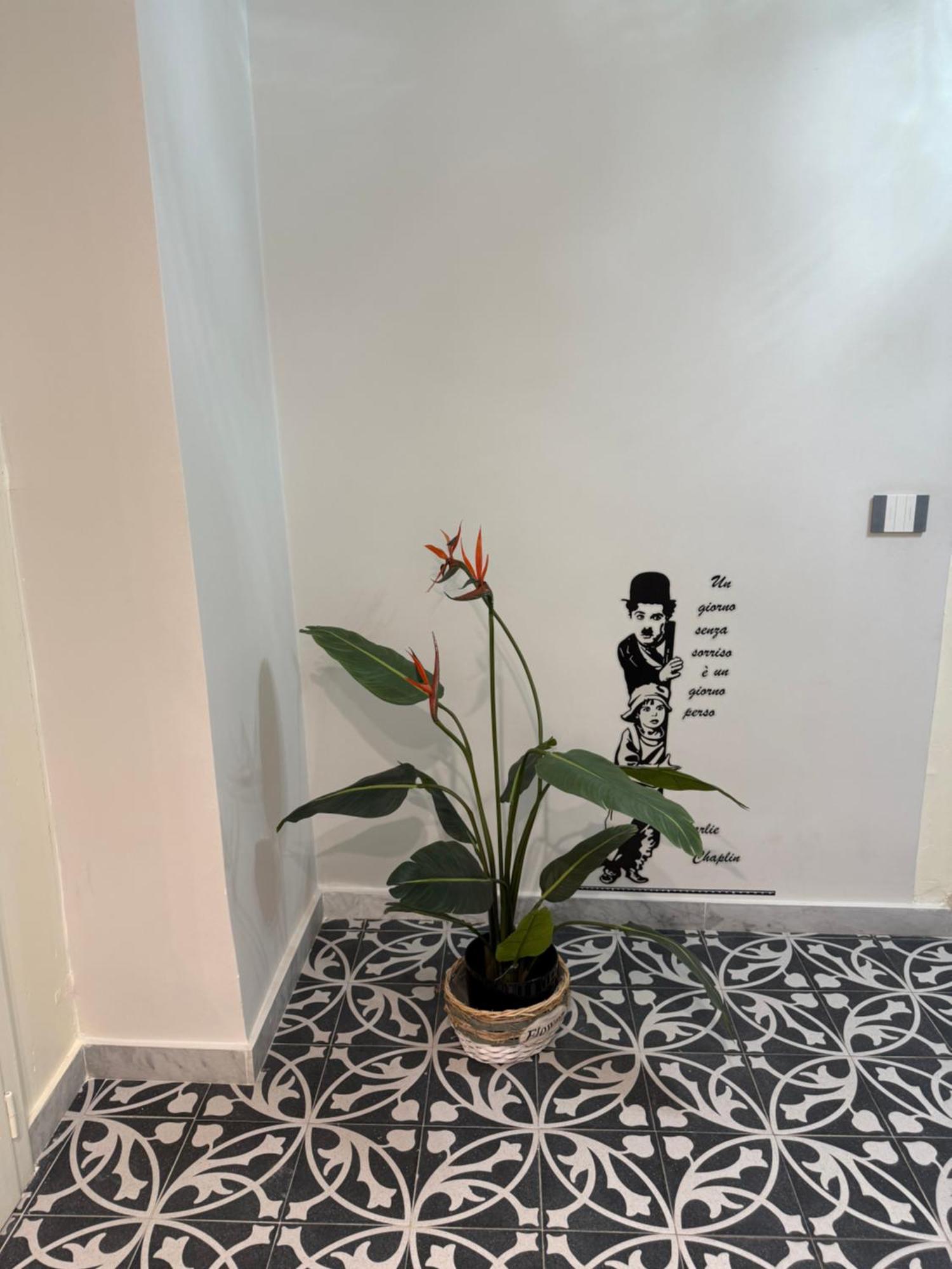 Elisir House Villa Palermo Dış mekan fotoğraf